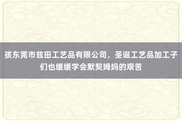 孩东莞市兹田工艺品有限公司,圣诞工艺品加工子们也缓缓学会默契姆妈的艰苦